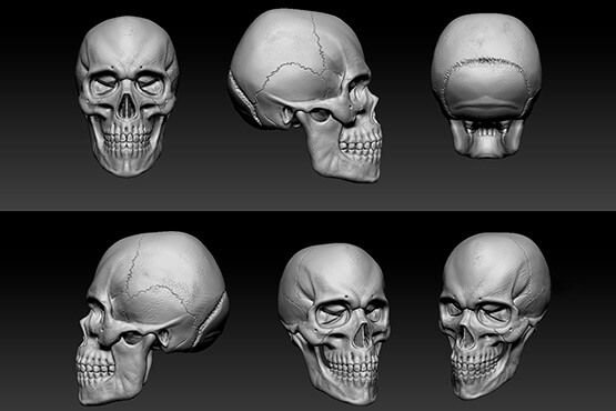 В учебный процесс хирургов внедряют 3D-технологии