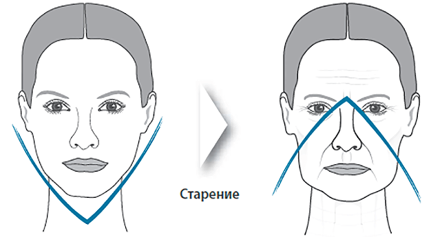 возраст