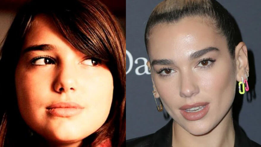 Дуа Липа скулы