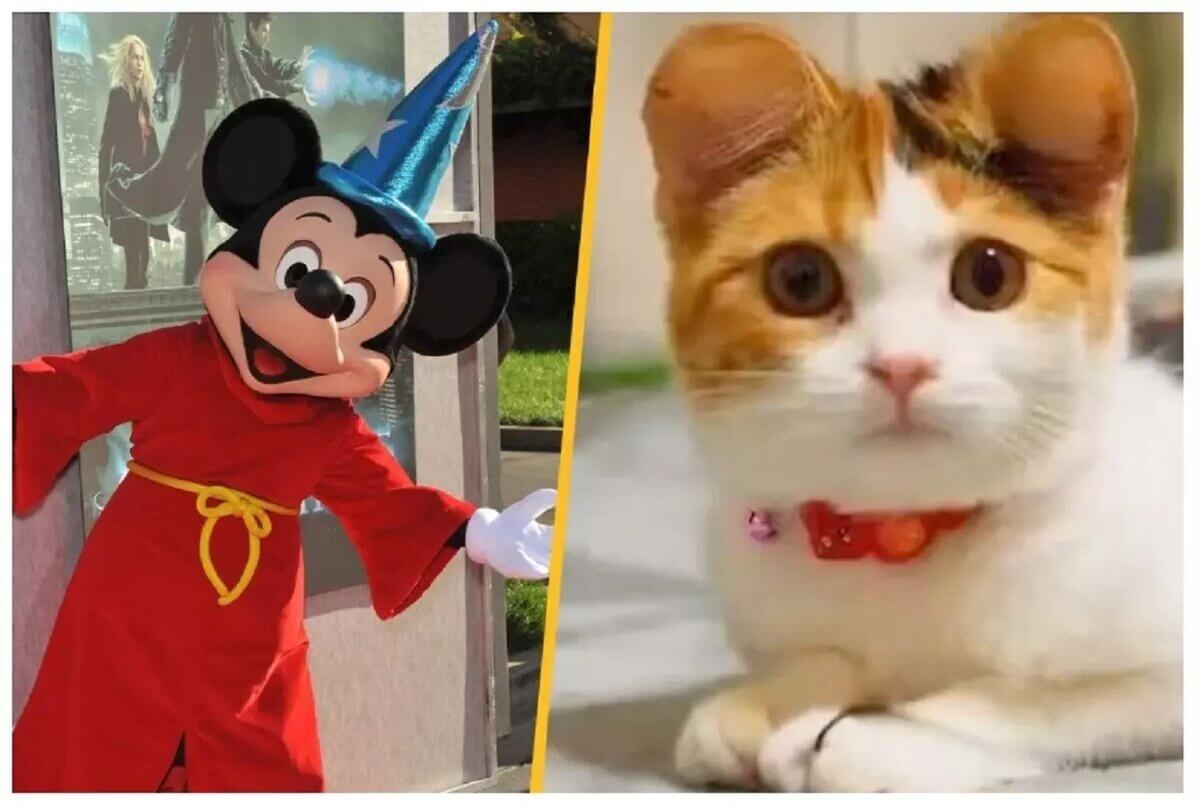 Китайцам нравится, что их животные становятся похожи на&nbsp;диснеевского героя