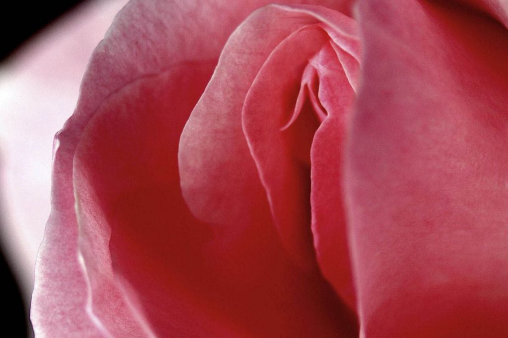 Что дает клиторопластика?