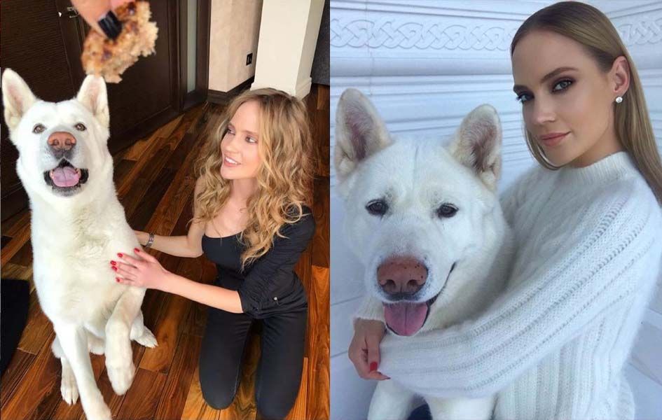 Глюкоза с собакой