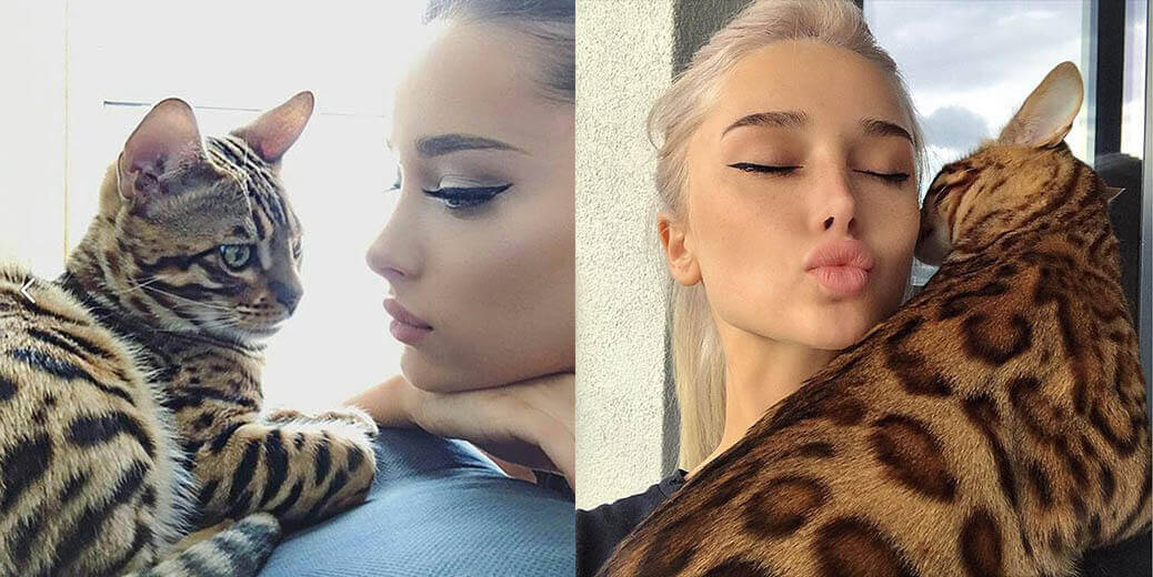 Мариам Пашаева и&nbsp;ее кот